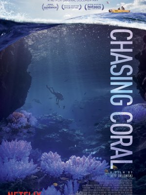 Chasing Coral